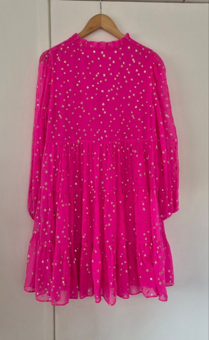 Back view of Lily Pulitzer Pink Silk Dress Size 8, preloved designer clothing at Copper & Cotton